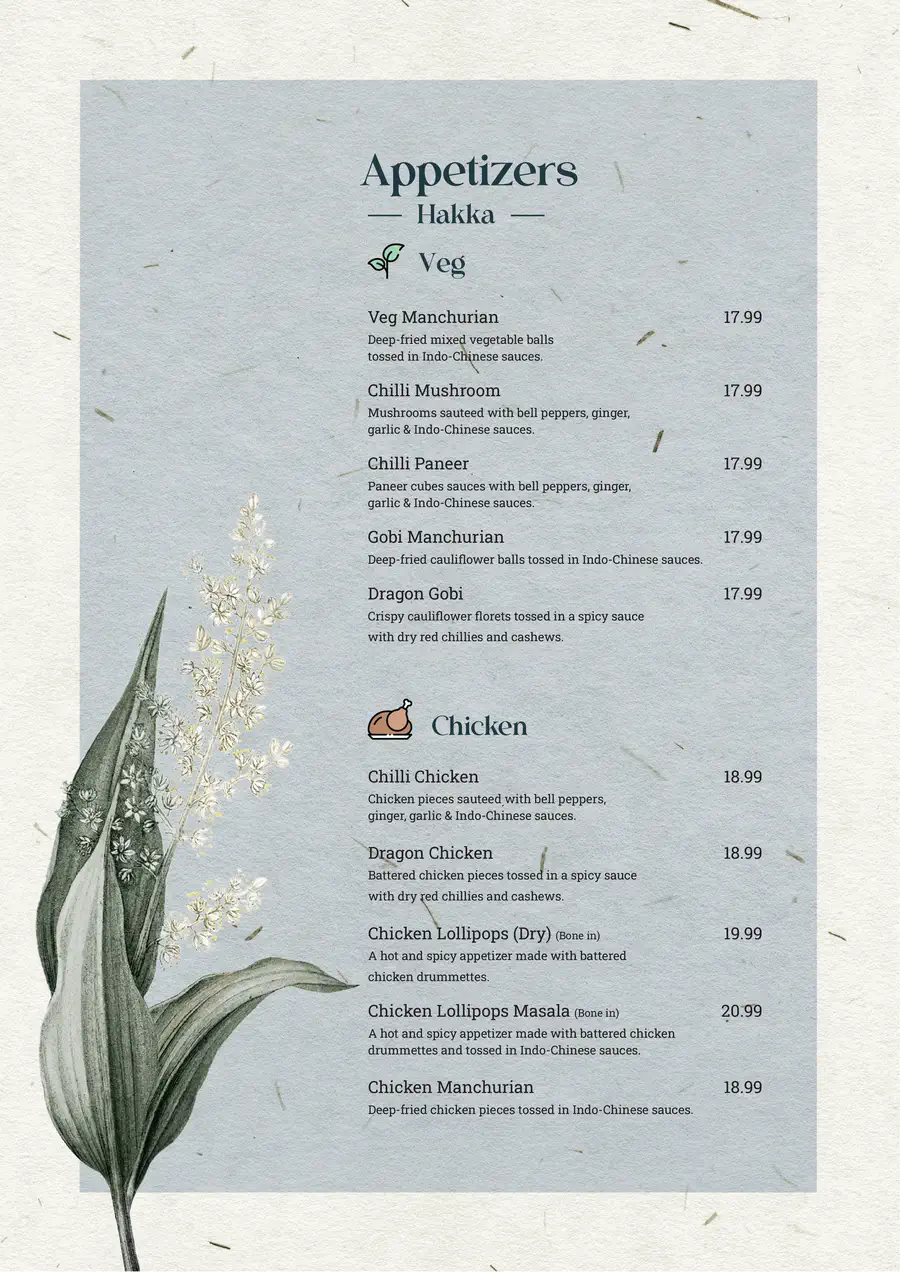 Hakka appetizers - veg and chicken